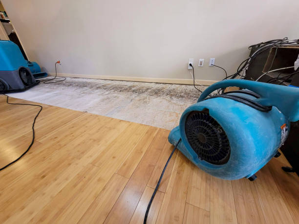 Professional Water Removal technician working in Heath, TX